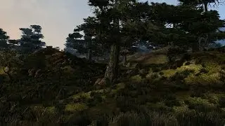 TES III Morrowind 2002 vs 2006 vs 2013 Грейзленд