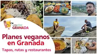 Tapeo y planes para comer vegano en Granada: Tapas, rutas y restaurantes. #ViajetalGranada