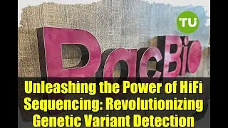 Unleashing the Power of HiFi Sequencing: Revolutionizing Genetic Variant Detection