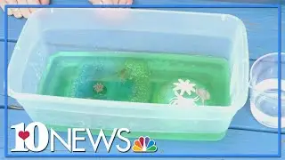 10Learns: Making an ocean-themed sensory bin