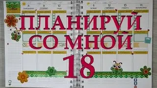 Мой ежедневник: планируй со мной - 18 ('17) / Plan with me 18