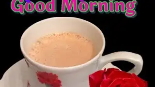 good morning 🙏🥰🇮🇳