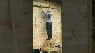 Building a Log Cabin and Installing Walls & Doors #LogCabin #DIYBuilding #Craftsmen