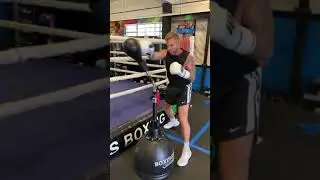 #cobra reflex bag from Boxingbar🔥🔥