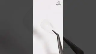 🤔What's Beetles Tipex Nail Tips?