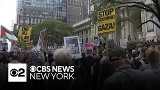 Hundreds participate in 