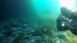 Scuba Diving Second Valley - South Australia