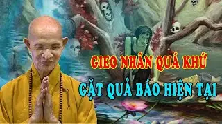 Gieo nhân nào gặt quả nấy - HT Thích Giác Hạnh giảng mới nhất 2026