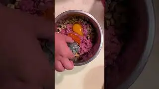 How to MIX Kibble and RAW Dog Food for BUDGET-FRIENDLY Benefits!