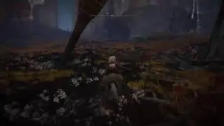 excavation initiation????