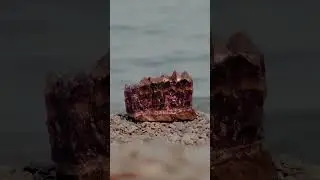 Auralite 23 From Talimu Canada