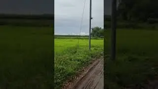 VID 20250816 174028