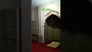 ماشاء اللہ Beautiful Small Mosque 💕💕💕 in village of Pakistan #viral #viralreels #islam #mosque #fyp