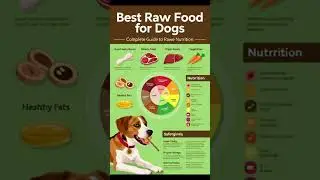 Best Raw Food Diet for Dogs 🐶 | Safe & Healthy Feeding Guide | MEW HEALTH #dogtreats #shorts
