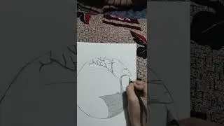 zaradesign