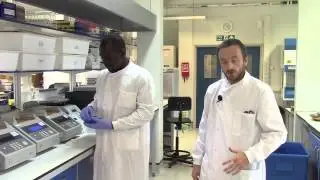 Andrew Taylor - Vegetable crop pathology research at Warwick Crop Centre