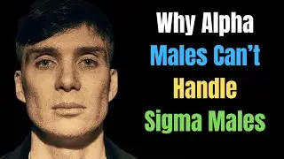 Unveiling the Truth: Why Alpha Males Can&rsquo;t Handle Sigma Males