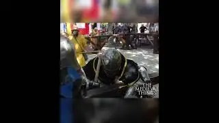 BRUTALITY #shorts #compilation #action #sport