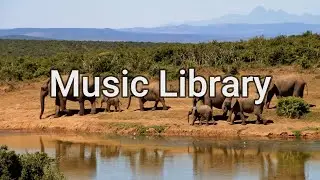 African Village Life by Purple Planet Music