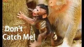 Why ! Why ! Nelson cry angry mom stop baby| What Nelson much angry mother not allow? Reason here...
