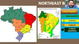 Northeast Brazil Birding with Ciro Albano