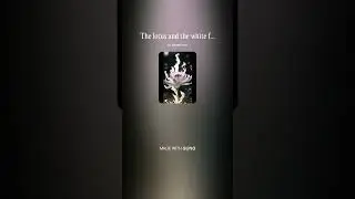 The lotus and the white flames (melodic death metal)
