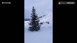 Happy Holidays from HaliPuu 🌲🤗