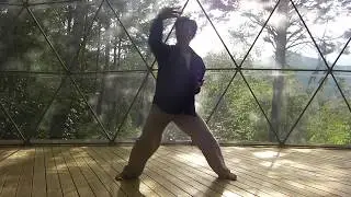 Infinite Tai Chi demo with Jason Chan