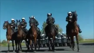 Policja Konna ćwiczy z OPP Katowice