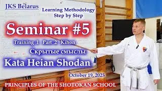 SEMINAR #5 Hidden Meanings of Kata Heian Shodan Training 1 Part 2 Kihon #heianshodan
