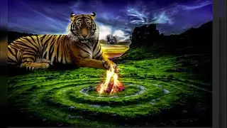 big tiger photoshop
