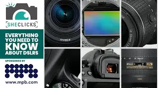 Everything you need to know about DSLRs