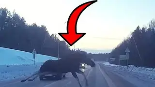 Жесткие аварии ДТП /Слабонервнных не смотреть