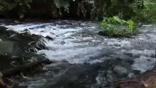 Apuí Produtora - Fazenda Sítio Novo - Tocantins