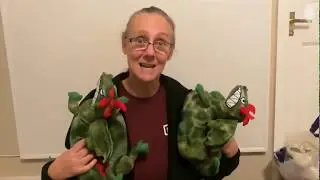 My Sustainability Journey No 2, EcoEgg review too!