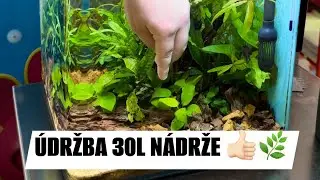 &Uacute;držba nano akv&aacute;ria🌿&hearts;️