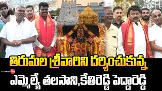 MLA Talasani Srinivas and YCP Kethireddy Peddareddy in Tirumala Lord Venkateswara Samy Temple