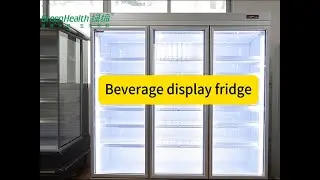 -18C Commercial Glass Door Freezer Self - Contained For Frozen Food / Upright Display Cooler