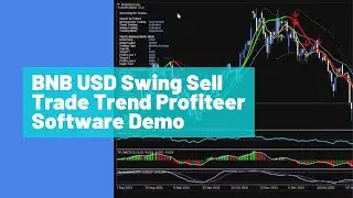 BNB USD Swing Sell Trade Trend Profiteer Software Demo