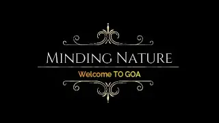Views of GOA | Minding Nature | its Owsm 4K HD