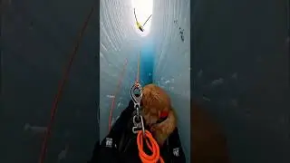 Helicopter Rescue Uses Thermal Camera to Find a Lost Dog