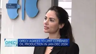 OPEC+ decision was a 'mega deal,' says Energy Intelligence