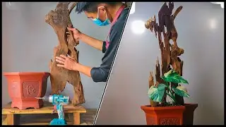 Amazing Woodworking Carpenter Skills | Add Wood To Potted Plants