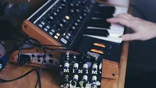 Moog Sub 25 - OBNE Minim #shorts