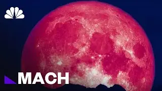 Why June&rsquo;s Strawberry Moon Is The Most Colorful Full Moon Of The Year | Mach | NBC News