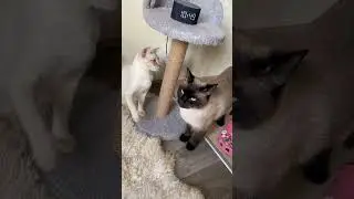 10:49 время лобзания