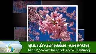 หนาวนี้..ที่ 