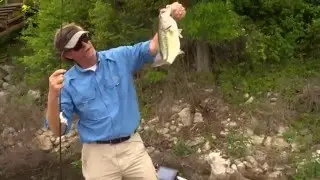 Shallow Water Bass Fishing Tips