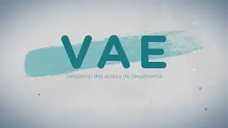 La validation des acquis de l&rsquo;exp&eacute;rience (VAE)
