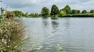 Wallingford Regatta - Dorney Lake 2025